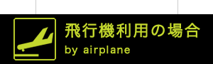 飛行機利用の場合